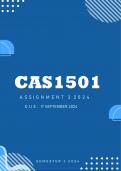 CAS1501 Assignment 3 Semester 2 2024