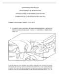 Examen + taller (geoarchaeology - geoarqueología)