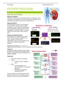 Samenvatting Pathofysiologie Leerjaar 3, Periode 1 De Boer Op