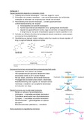 Samenvatting zelfstudie EBC