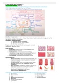 Samenvatting  Fysiologie Module 1 NEXT (cijfer 8,7)