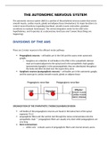 The Autonomic Nervous System Review