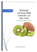 Practicumverslag Biologie over DNA isoleren uit een kiwi