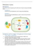 Lecture notes/exam summary Biochemistry year 2 term 1