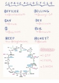 Easy Way to Remember Citric Acid Cycle/Krebs Cycle