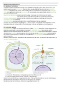 Samenvatting biologie voor jou H1 + 2.1 en 2.2