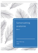 Samenvatting anatomie leerjaar 1 blok 2