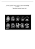 All lectures and practice exam - Hot topics Neurology & Psychiatry - Medicine VU 