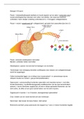 Samenvatting VWO Biologie Nectar H19 en H20