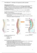 Samenvatting thema 2 – aandoeningen van het ruggenmerg en perifere zenuwstelsel
