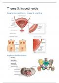 Samenvatting thema 5 - incontinentie