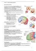 Samenvatting thema 3 - centrale cerebrale stoornissen