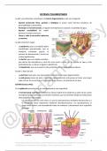 Apuntes Histología Médica