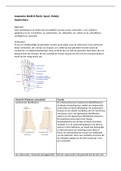 Anatomie Blok B Werk, Sport, Hobby - Spieren, gewrichten en overige structuren 