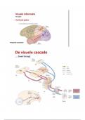 Pyschobio - Samenvatting in plaatjes van de stof voor de toelatingstoets