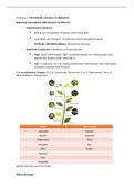 Vorlesung 5: Mineralstoffe und deren Verfügbarkeit