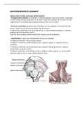 VOLLEDIGE UITWERKING ANATOMIE BOVENSTE EXTREMITEIT