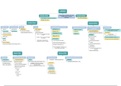 Mind Map Lipides