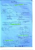 Lecture notes NEET biology