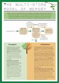 The Multi-Store Model of Memory A* notes for A-Level Psychology - VISUALLY PRESENTED, EVERYTHING YOU NEED TO KNOW FOR AN A*