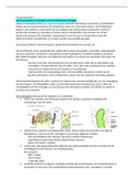 Samenvatting Toetsmatrijs Beroepssituatie BS12