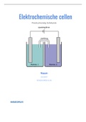 Elektromagnetische cellen verslag scheikunde 