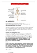 BTEC applied science Unit 8 assignment 1 musculoskeletal system