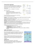 Samenvatting volldig vak: Neurofysiologie