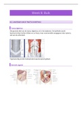 1a2 samenvatting week 8