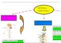 Presentación Biology and Geology 