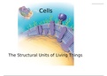 Cellular components of human anatomy