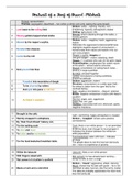 Portrait of a Loaf of Bread Poem Analysis and Summary (IEB Poem)