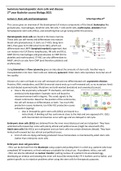 Samenvatting  Hematopoetic stem cells and disease