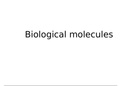 Biological Molecules and Carbohydrates