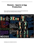 Meiosis for healthcare students