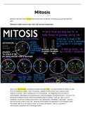 Mitosis medical professional notes