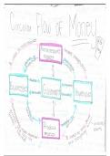 Economics- Circular Flow of Money