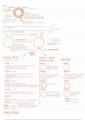 an introduction into the types of cells and how they divide 