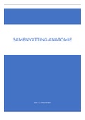 samenvatting technische geneeskunde module 5 anatomie