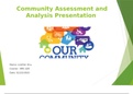 NRS 428 VN Community Assessment and Analysis Presentation (Lizetter  100% WELL GRADED