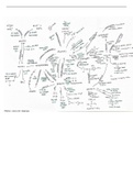 Organic Chemistry Reactions Mind Map