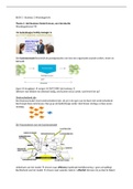 Leerjaar 1, Blok 1, BUS 2 Samenvatting 