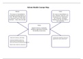 NR 504 Week 5 Assignment 1; Leading a Culture of Excellence Paper Part I; Concept Map - Advent Health