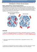 ANATOMY 255 HEMOGLOBIN AND BLOOD OXYGEN TRANSPORT WORKSHEET (2).