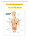 NUR 2063 Week 2 lecture Notes - University of South Florida