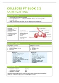 Samenvatting FT blok 2.2