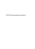 DVA3703 Portfolio examination