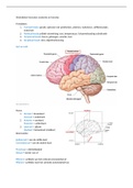 Alle theorie voor tentamen 1 introductie psychobiologie