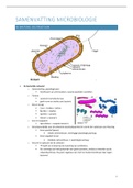 Microbiologie hogent 1e jaar vpk