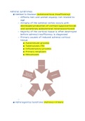 Adrenal Syndromes: Abdominal Sonography 